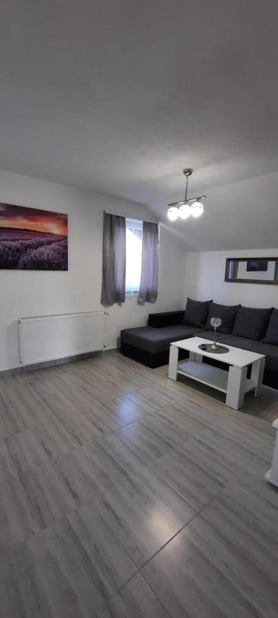Rudanovac Apartman Karolina מראה חיצוני תמונה