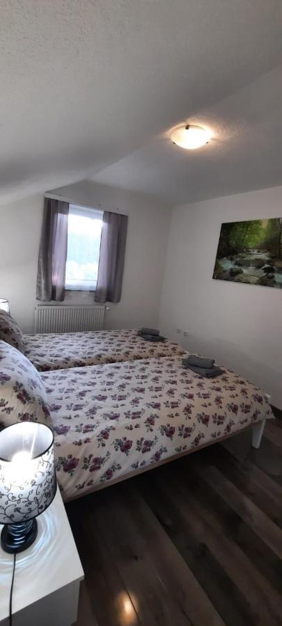 Rudanovac Apartman Karolina מראה חיצוני תמונה