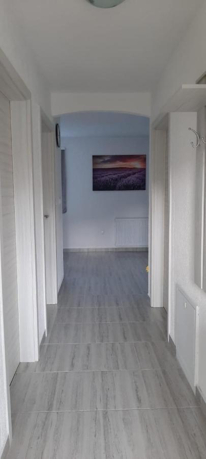 Rudanovac Apartman Karolina מראה חיצוני תמונה